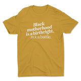 Black Motherhood